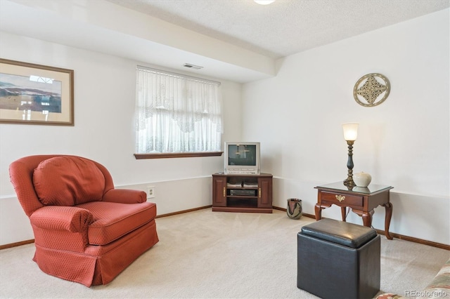 98 N Quicksilver Ave, Castle Rock, CO 80104 - photo 15