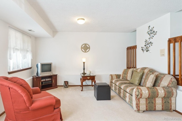 98 N Quicksilver Ave, Castle Rock, CO 80104 - photo 19