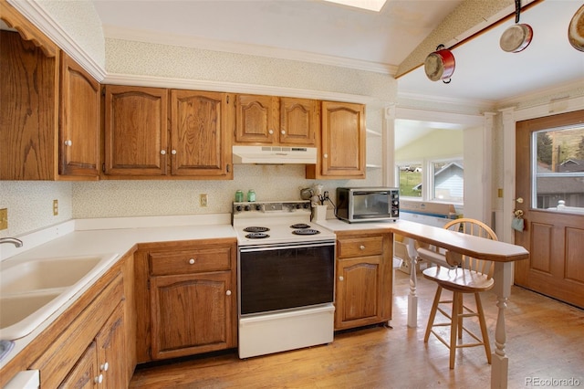 kitchen featuring white range with electric stovetop, crown molding, light hardwood / wood-style flooring, and sink