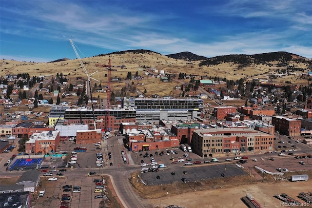 birds eye view of property featuring a mountain view