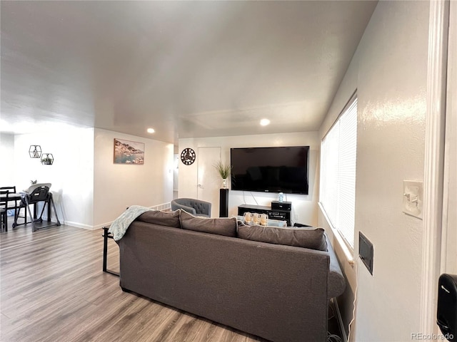 living room featuring hardwood / wood-style floors