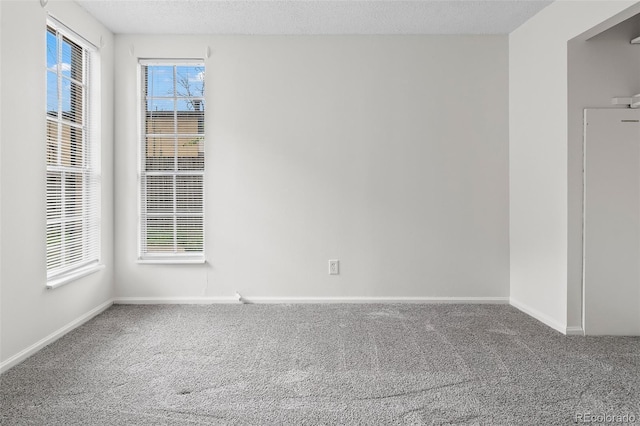 865 S Quebec St Unit 101B, Denver, CO 80247 - photo 14