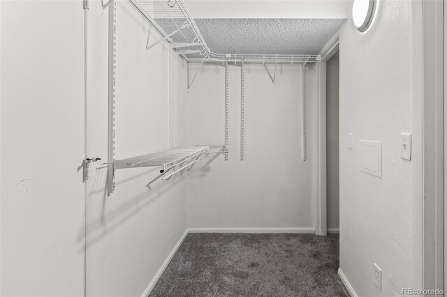 865 S Quebec St Unit 101B, Denver, CO 80247 - photo 31