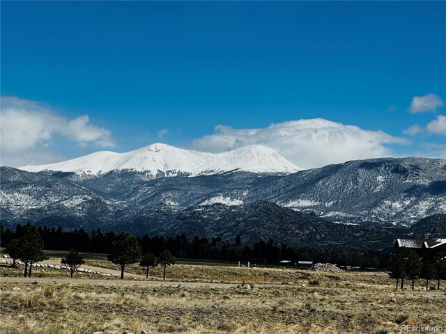 17430 Reserve Dr, Buena Vista, CO 81211