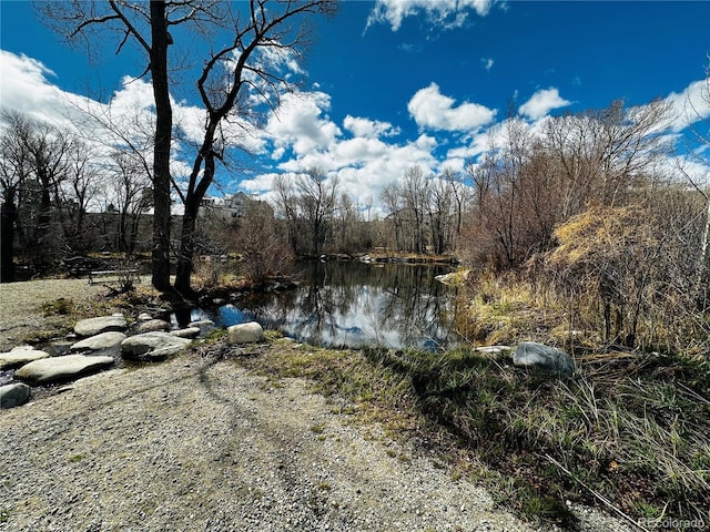 17430 Reserve Dr, Buena Vista, CO 81211