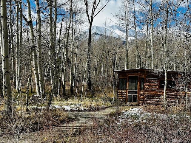 17430 Reserve Dr, Buena Vista, CO 81211