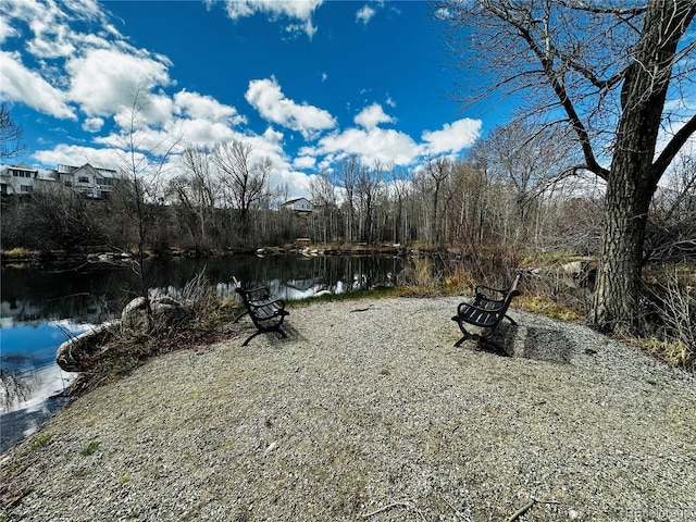 17430 Reserve Dr, Buena Vista, CO 81211