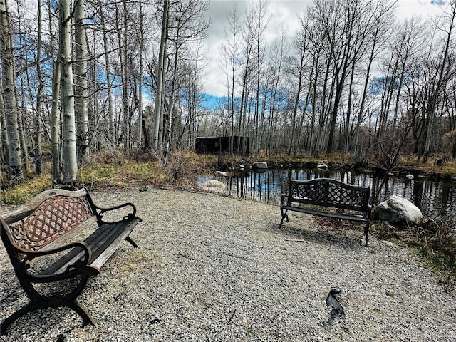 17430 Reserve Dr, Buena Vista, CO 81211