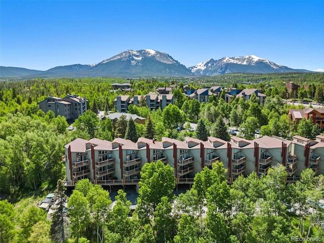 2449 Ryan Gulch Ct Unit 2449, Silverthorne, CO 80498 - aerial view of mountains