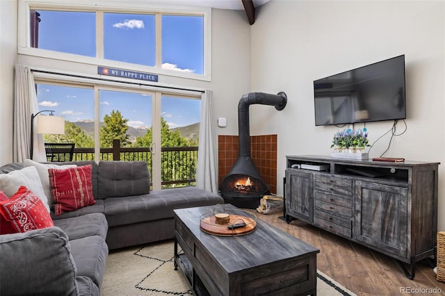 2449 Ryan Gulch Ct Unit 2449, Silverthorne, CO 80498 - living room featuring a wood stove, wood finished floors, and a towering ceiling