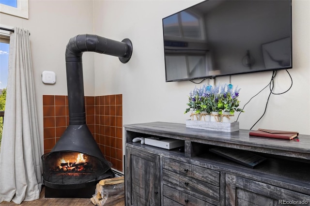 2449 Ryan Gulch Ct Unit 2449, Silverthorne, CO 80498 - detailed view of a wood stove