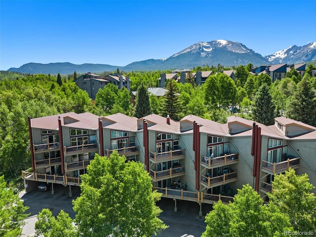 2449 Ryan Gulch Ct Unit 2449, Silverthorne, CO 80498 - view of mountain backdrop