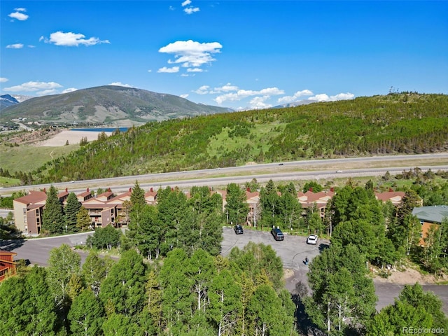 2449 Ryan Gulch Ct Unit 2449, Silverthorne, CO 80498 - view of mountain background