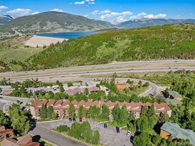 2449 Ryan Gulch Ct Unit 2449, Silverthorne, CO 80498 - aerial view of property's location with a water and mountain view