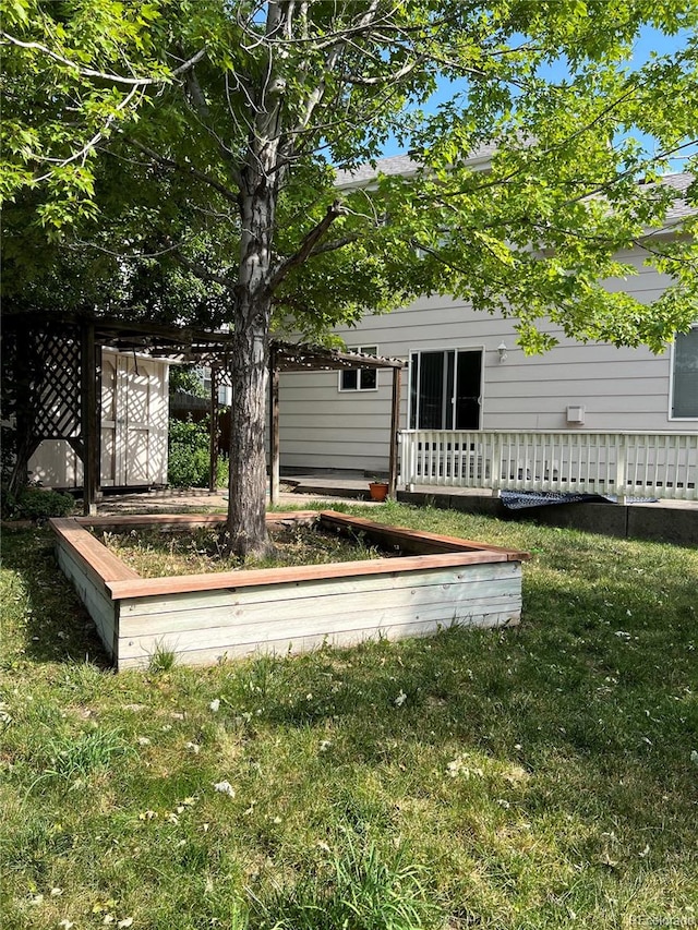 rear view of house featuring a yard