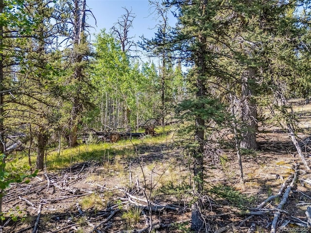 50 Rawhide Way, Jefferson, CO 80456