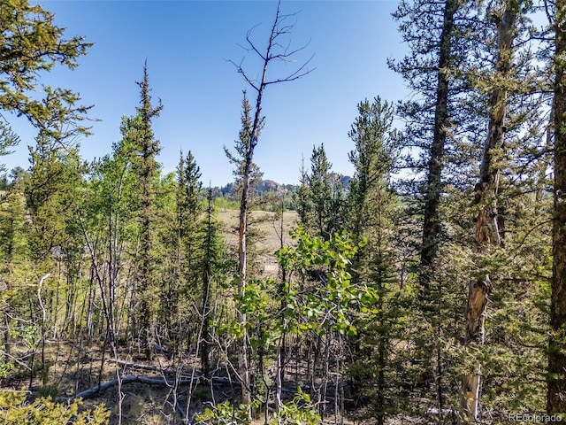 50 Rawhide Way, Jefferson, CO 80456