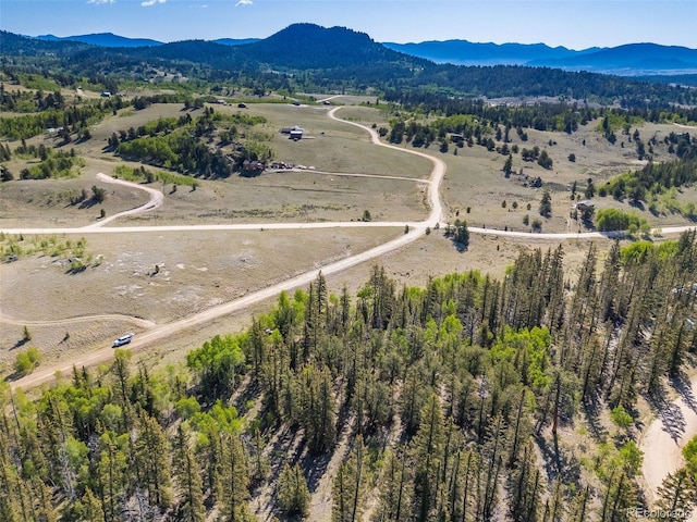 50 Rawhide Way, Jefferson, CO 80456