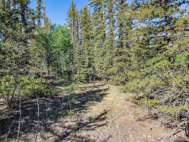 50 Rawhide Way, Jefferson, CO 80456