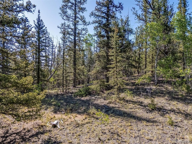 50 Rawhide Way, Jefferson, CO 80456