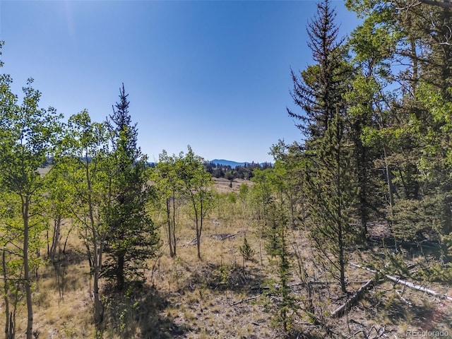 50 Rawhide Way, Jefferson, CO 80456