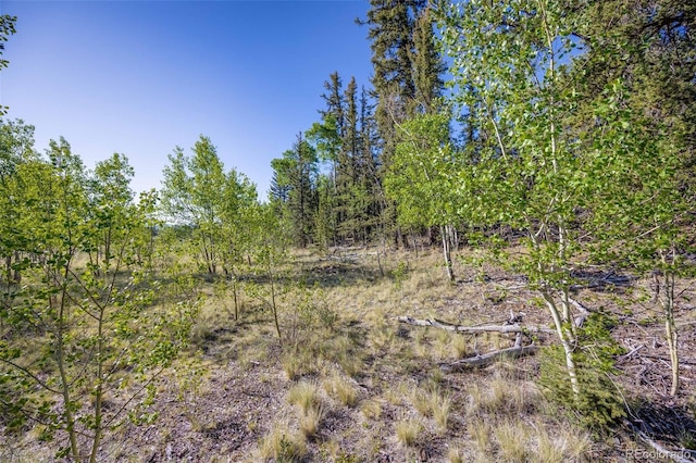 50 Rawhide Way, Jefferson, CO 80456