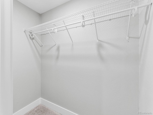 3630 Magnolia St, Denver, CO 80207 - walk in closet featuring carpet