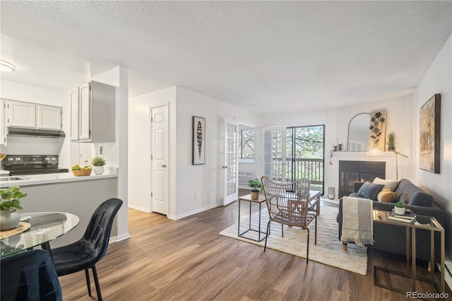 14751 E Tennessee Dr Unit 228, Aurora, CO 80012 - living room with a textured ceiling, wood finished floors, a glass covered fireplace, and baseboards