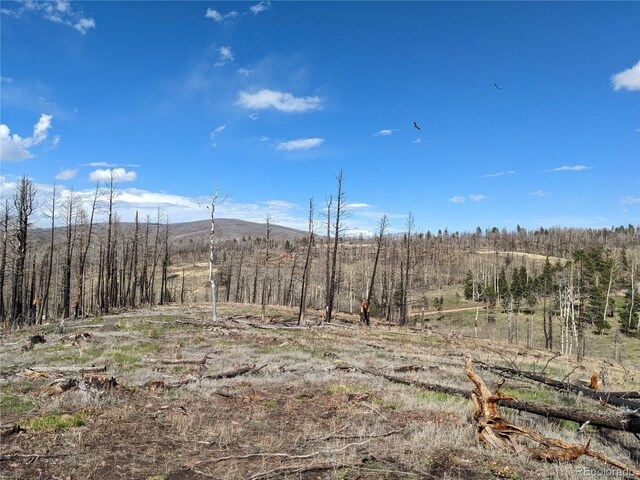 971 Huntington Ln, Fort Garland, CO 81133 - photo 2