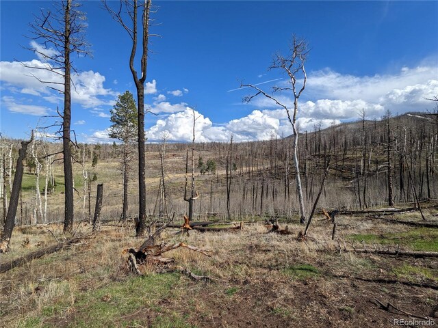 971 Huntington Ln, Fort Garland, CO 81133 - photo 5