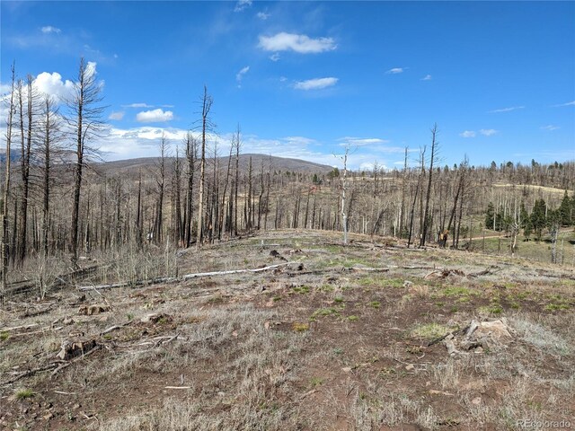 971 Huntington Ln, Fort Garland, CO 81133 - photo 1