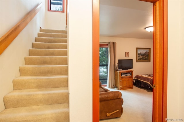324 W Main St, Frisco, CO 80443 - stairway featuring carpet floors