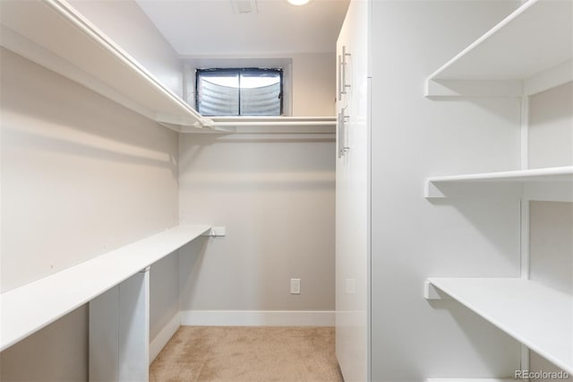 spacious closet with light carpet