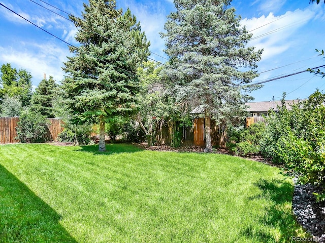 2046 S Quitman St, Denver, CO 80219 - view of yard