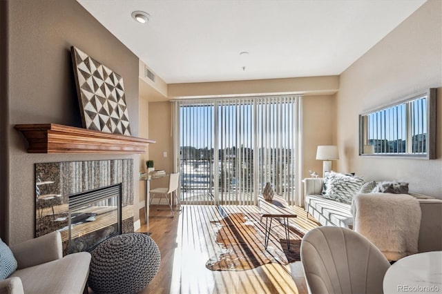 living room featuring light hardwood / wood-style floors and a fireplace