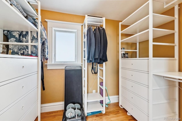 spacious closet with light wood-type flooring