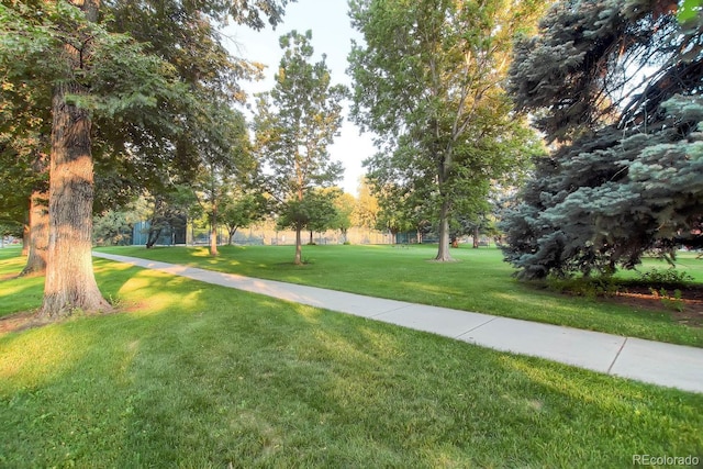 view of home's community featuring a yard