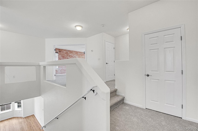 5131 Netherland St, Denver, CO 80249 - stairs with baseboards