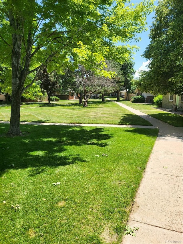 9105 E Lehigh Ave Unit 105, Denver, CO 80237 - photo 2