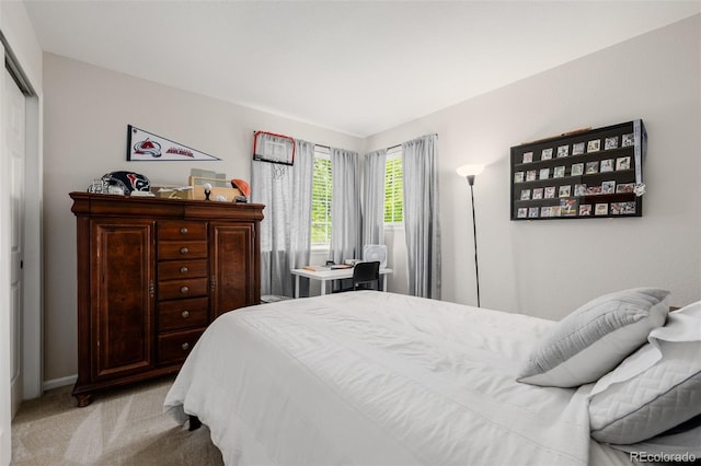 527 English Sparrow Trl, Highlands Ranch, CO 80129 - bedroom with light carpet, a closet, and baseboards