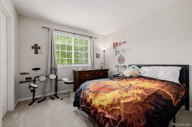 527 English Sparrow Trl, Highlands Ranch, CO 80129 - bedroom featuring light colored carpet and baseboards