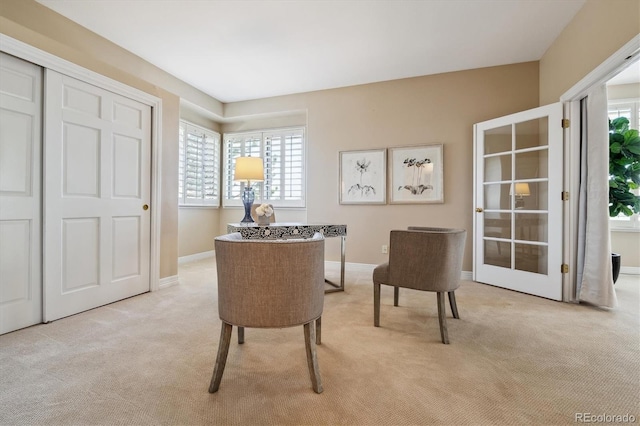 72 Falcon Hills Dr, Highlands Ranch, CO 80126 - photo 35