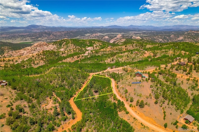 27 Granite Ct, Cripple Creek, CO 80813 - photo 2
