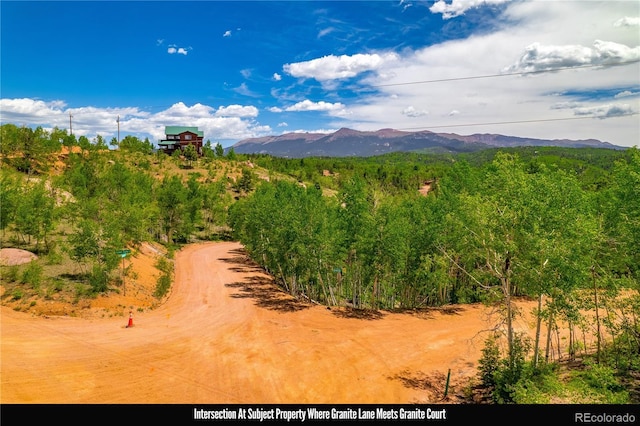 27 Granite Ct, Cripple Creek, CO 80813 - photo 3