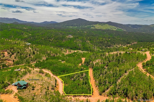 27 Granite Ct, Cripple Creek, CO 80813 - photo 6
