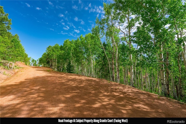 27 Granite Ct, Cripple Creek, CO 80813 - photo 12