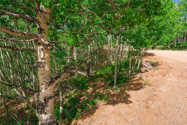 27 Granite Ct, Cripple Creek, CO 80813 - photo 14