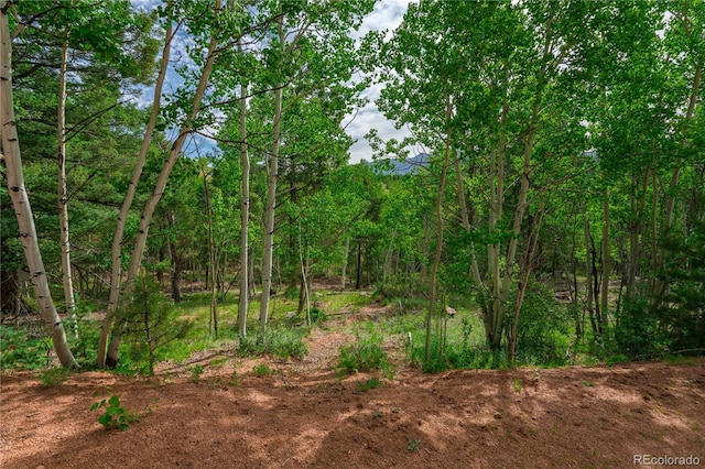 27 Granite Ct, Cripple Creek, CO 80813 - photo 15