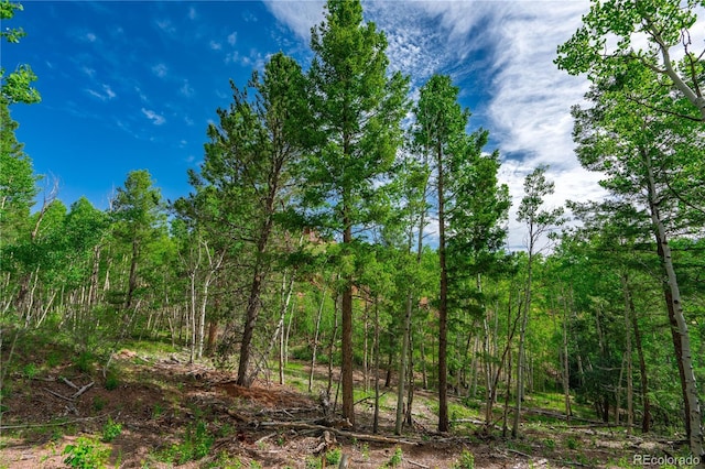 27 Granite Ct, Cripple Creek, CO 80813 - photo 18