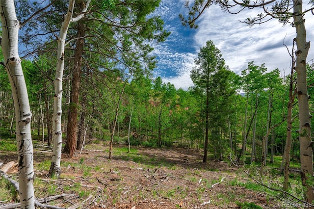 27 Granite Ct, Cripple Creek, CO 80813 - photo 19